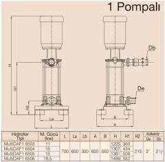MultiDAF1 6500-5/Tek Pompalı Hidrofor 15 kW (3''-2½'')  (73 mss - 1 x 50 m3/h)