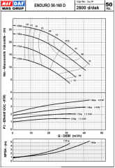 Enduro D 50-160 Çift Kanatlı Kapalı Çarklı 4kW Partikül Çapı:13.5 mm  (2'') 3000 d/dak